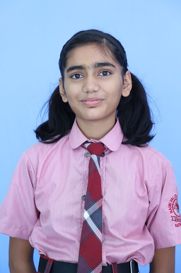 Naini Valley School